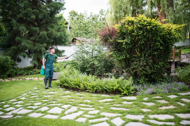Best Affordable Pest Control Services  in Stanton, MI