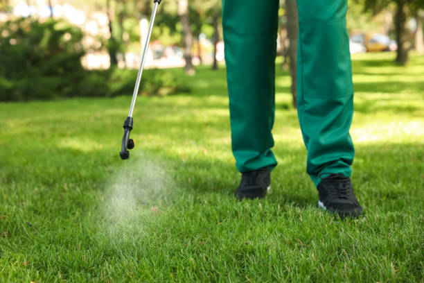 Reliable Stanton, MI Pest Control Solutions