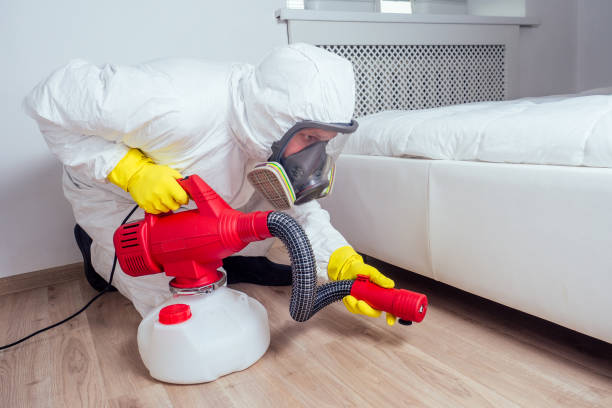 Best Rat Extermination Near Me  in Stanton, MI