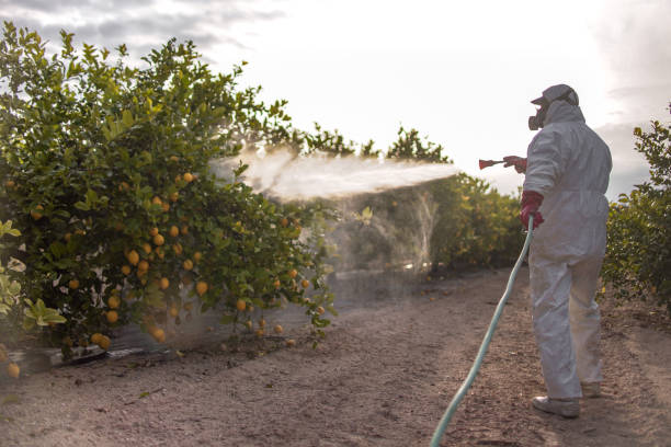 Best Flea Control Services  in Stanton, MI