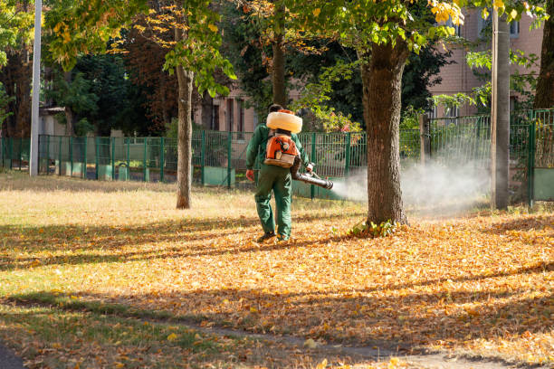 Best Rat Extermination Near Me  in Stanton, MI