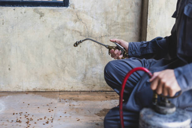 Best Pest Control Treatment  in Stanton, MI