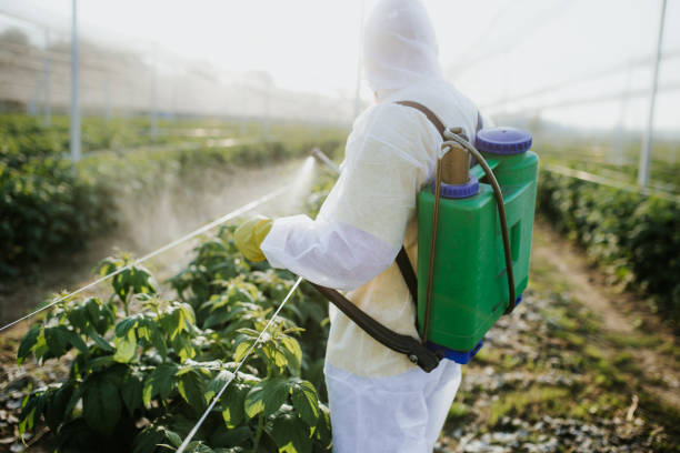 Best Wasp Removal Services  in Stanton, MI